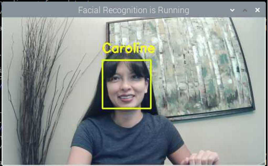 Real-Time Live Facial Recognition Detection Stream & Recognition Output
